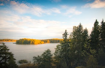 Green Trees Near Lake during Cloudy Day