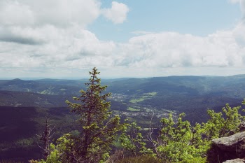 Green Trees Near Mountain Under White and Blue Sky