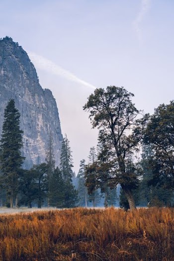 green trees near mountain under white clouds
