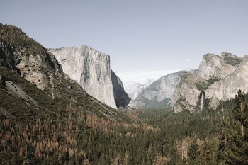 green trees near mountains