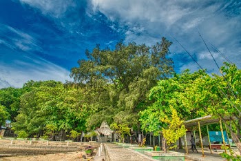Green Trees Near Pathway