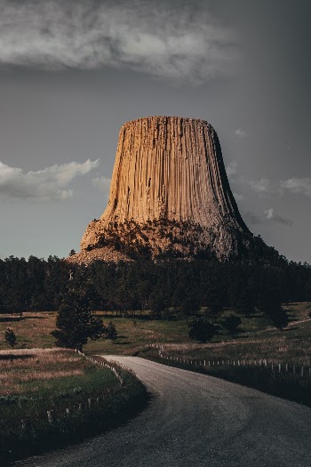 Green Trees Near Rock Formation  