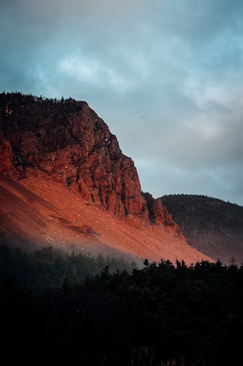 Green Trees Near Rock Formation