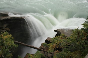Green Trees Near the Waterfall