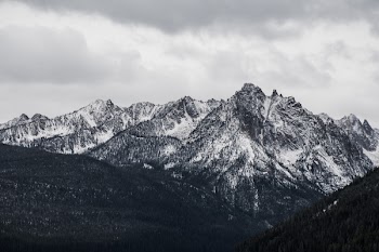 Green Trees on Mountain
