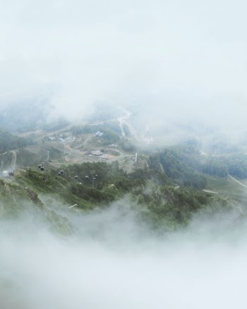 Green Trees on Mountain Covered With Clouds · Free Stock Photo