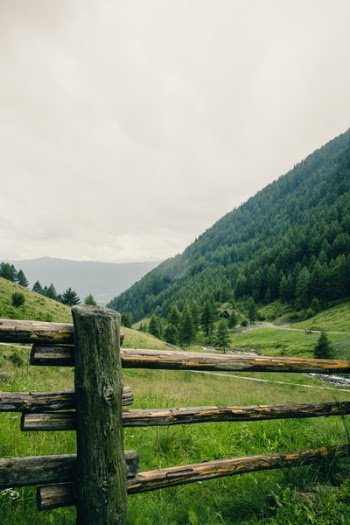 Green Trees on Mountain Under White Sky during Daytime