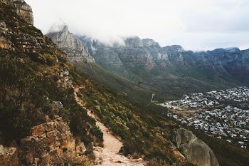 green trees on mountains
