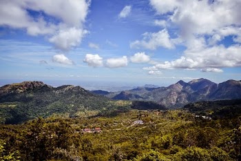 green trees with mountains during daytime photography