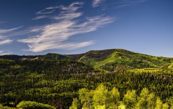 Green Tress and Mountain Under Blue Sky