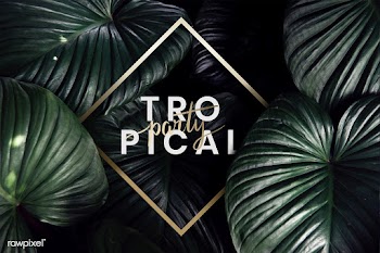 Green tropical background | Free stock psd mockup - 599727