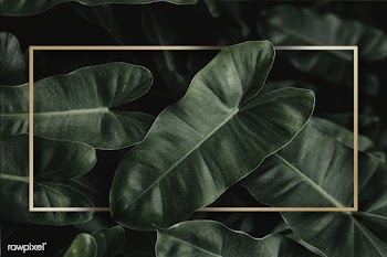 Green tropical background | Free stock psd mockup - 599730