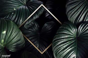 Green tropical background | Free stock psd mockup - 599734