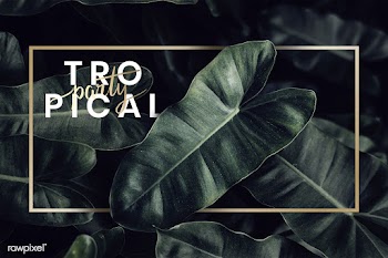 Green tropical background | Free stock psd mockup - 599747