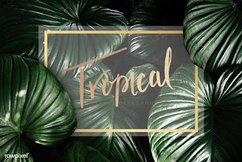 Green tropical background | Free stock psd mockup - 599777
