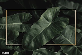 Green tropical background | Free stock vector - 599723