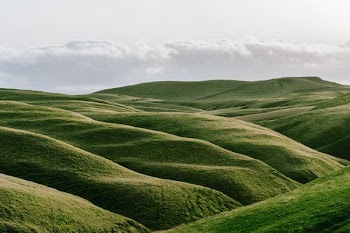 green valley