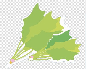Green Vegetable Illustration, Green vegetables transparent background PNG clipart