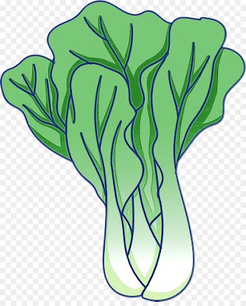 green vegetable leaf plant leaf vegetable
