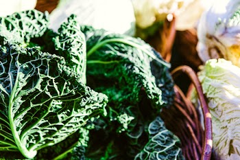 Green Vegetable on Basket