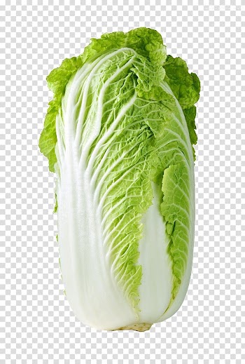 Green vegetable, Red cabbage Cauliflower Kohlrabi Napa cabbage, HD clips cabbage transparent background PNG clipart