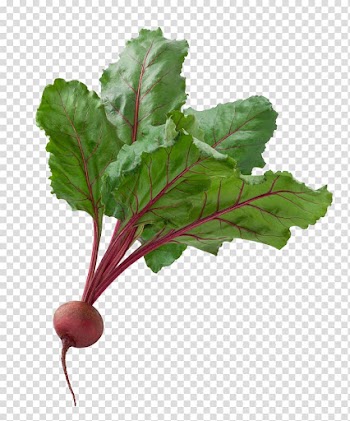 Green vegetable, Vegetable Borscht Beetroot Garden Fruit, A of a beet transparent background PNG clipart