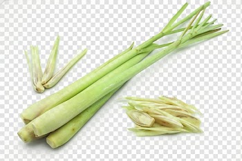 Green vegetables, Cymbopogon citratus Cymbopogon martinii Lemon Food, Lemon Grass Free transparent background PNG clipart
