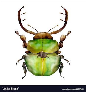 green watercolor beetle watercolor