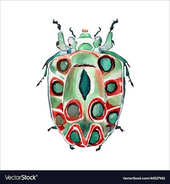 green watercolor beetle watercolor
