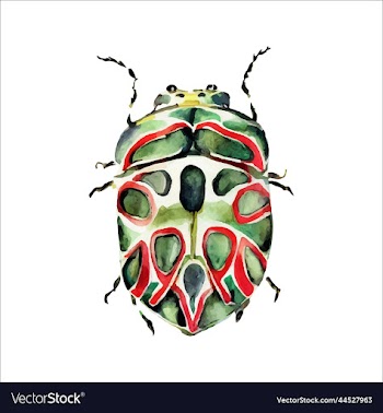 green watercolor beetle watercolor