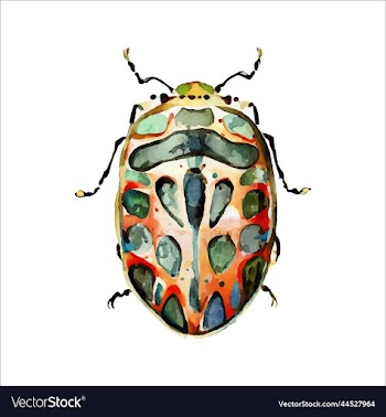 green watercolor beetle watercolor