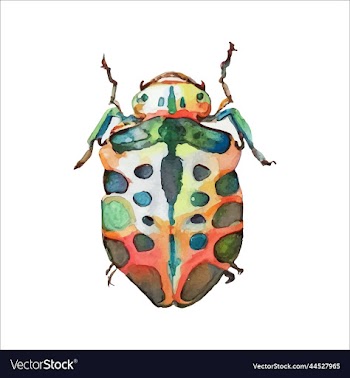 green watercolor beetle watercolor
