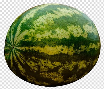 Green watermelon illustration, Fruit and vegetables for kids Fruit and vegetables for kids Child Drawing, Watermelon transparent background PNG clipart