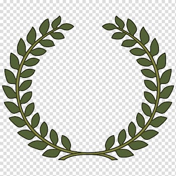 Green wheat illustration, Bay Laurel Laurel wreath Leaf Mountain-laurel , Crown transparent background PNG clipart