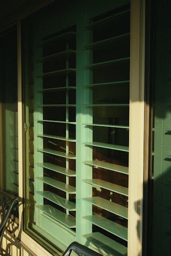 Green Window Pane