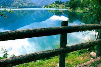 Green Wooden Fence Beside Body of Water