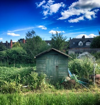 Green Wooden Shack Near Grass Field