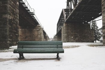 green wooden slatted bench in between suspension bridges