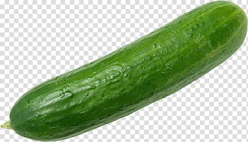 Green zucchini, Cucumber Israeli salad Vegetable Fruit Food, Cucumber transparent background PNG clipart