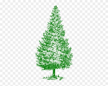 Greencedartree Clip Art At Clkercom Vector Online Royalty - Cedar Tree Clip Art