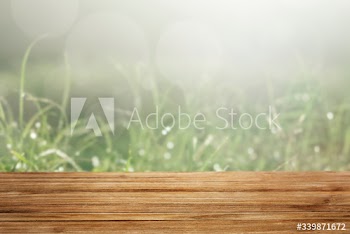 Greenery product background