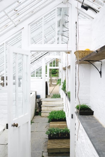 Greenhouse