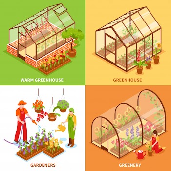 Greenhouse design concept set Free Vector