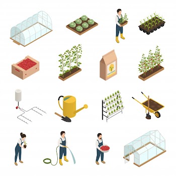 Greenhouse elements isometric elements set Free Vector