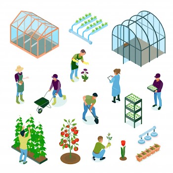Greenhouse glasshouse hydroponic system vegetables flowers cultivation irrigation facilities isometric elements set Free Vector