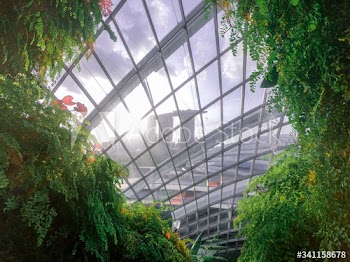 Greenhouse in Singapore