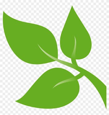 Greens Leaf Films Set Design - Green Leaves Design Png