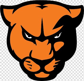 Greenville University Greenville College Panthers football St. Louis Intercollegiate Athletic Conference Millsaps College American football, american football transparent background PNG clipart