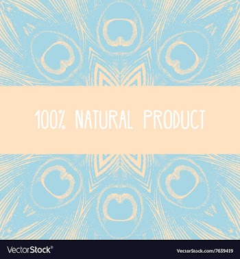 Greeting card with peacock feathers motif vector image