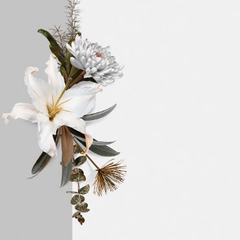 Greige flowers border background, nature | Free Photo - rawpixel